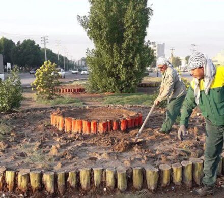 تذکر نماینده اهواز به شهرداری: کاشت نخل‌های مسن در گرمای تیرماه اقدامی غیرکارشناسانه است